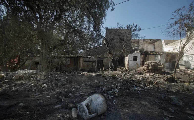 La asociación del Malecón responsabiliza a la Administracion del incendio de junio
