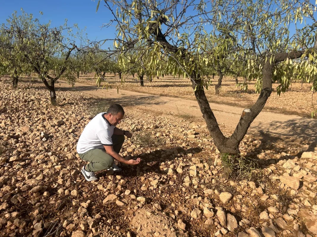 Fernando Moreno daños agricultura 22-08-26 El PSOE exige ayudas urgentes para los agricultores afectados por las últimas tormentas