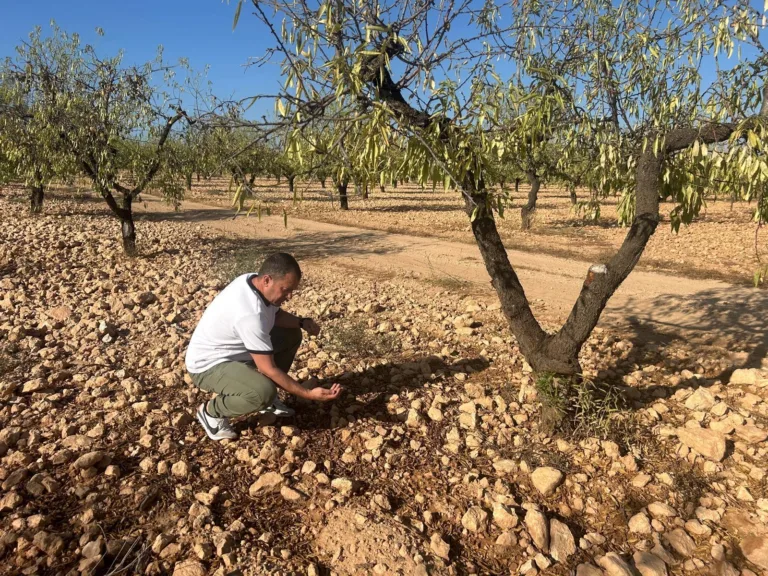 El PSOE exige ayudas urgentes para los agricultores afectados por las últimas tormentas