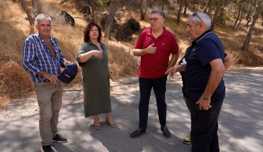 El PSOE alerta del riesgo de incendio por solares municipales sin desbrozar en Beniaján