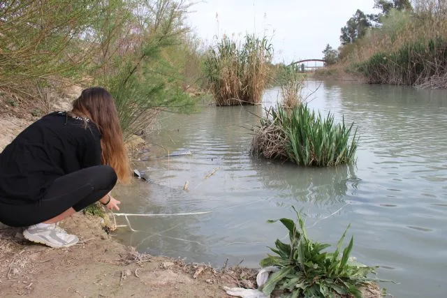 La CHS destina 203.599 euros a estudiar peces y eutrofización en los embalses del Segura La CHS destina 203.599 euros a estudiar peces y eutrofización en los embalses del Segura