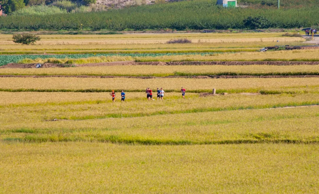Entre arrozales foto Calasparra reúne este domingo deporte, solidaridad y aguas bravas en una doble cita