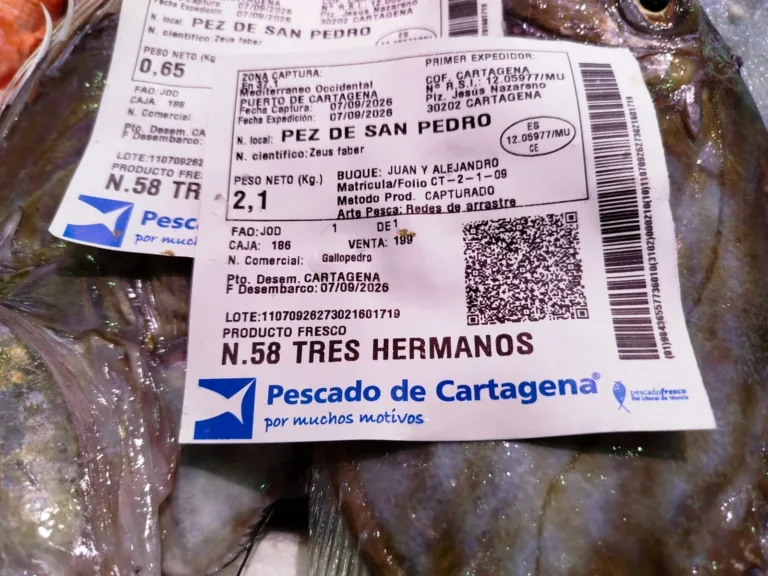 El PCAN denuncia catorce meses sin avances en la Denominación de Origen de Cartagena