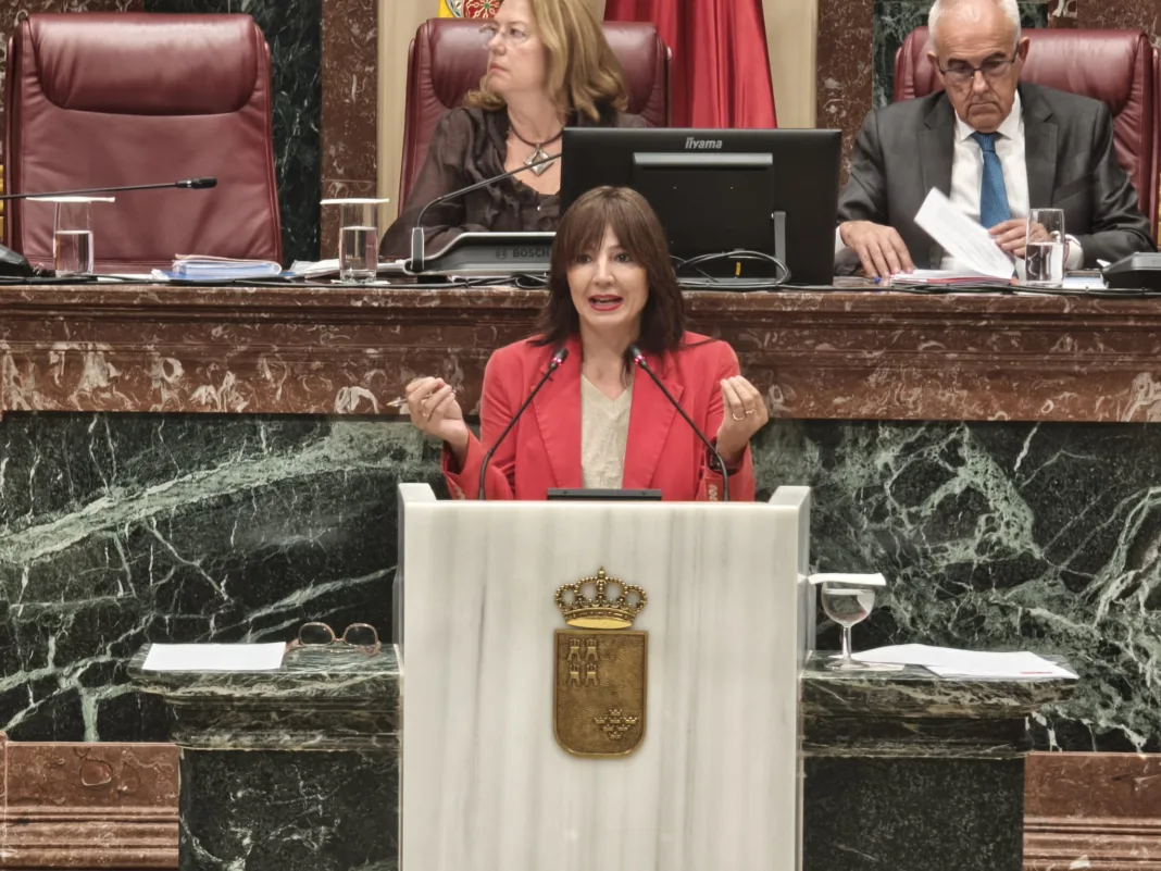 La Asamblea reclama un plan para reducir la sobrecarga en Primaria con el PP en contra