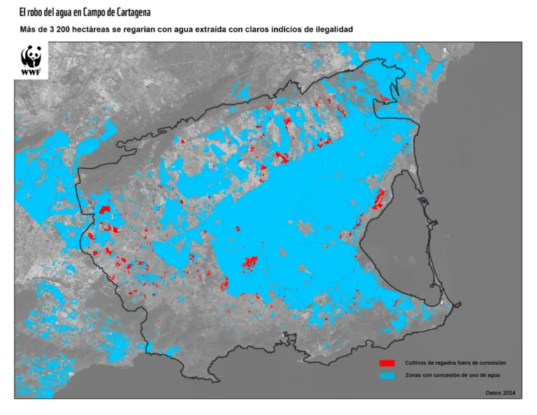 WWF y ANSE detectan una fuerte caída del riego ilegal en el Campo de Cartagena