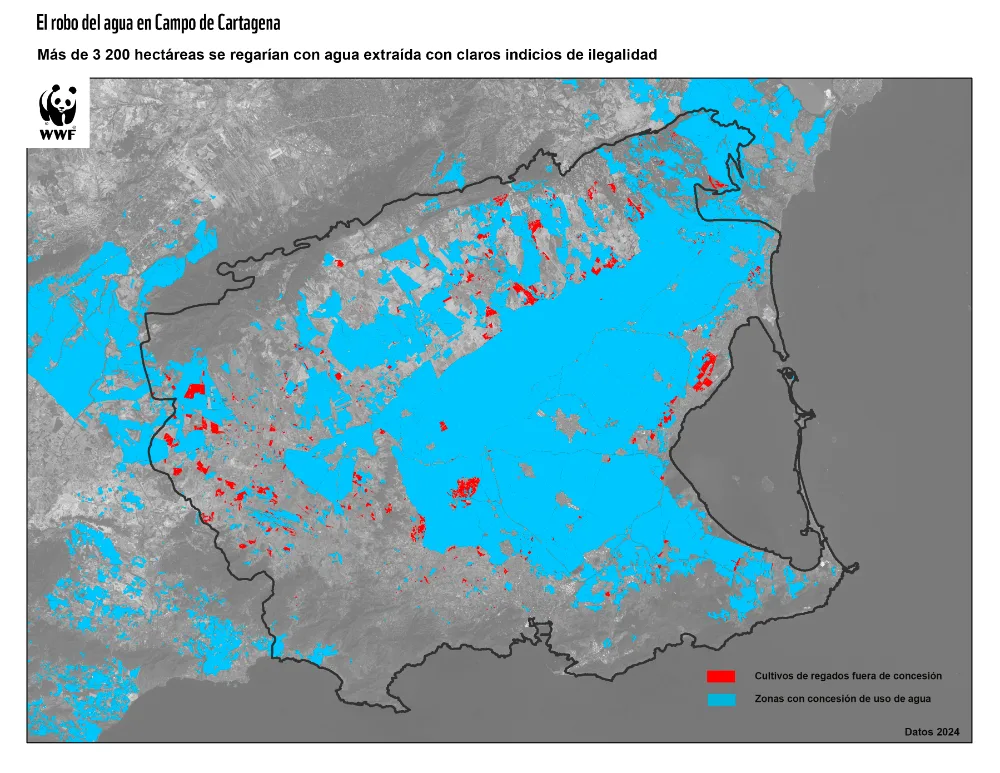anse WWF y ANSE detectan una fuerte caída del riego ilegal en el Campo de Cartagena