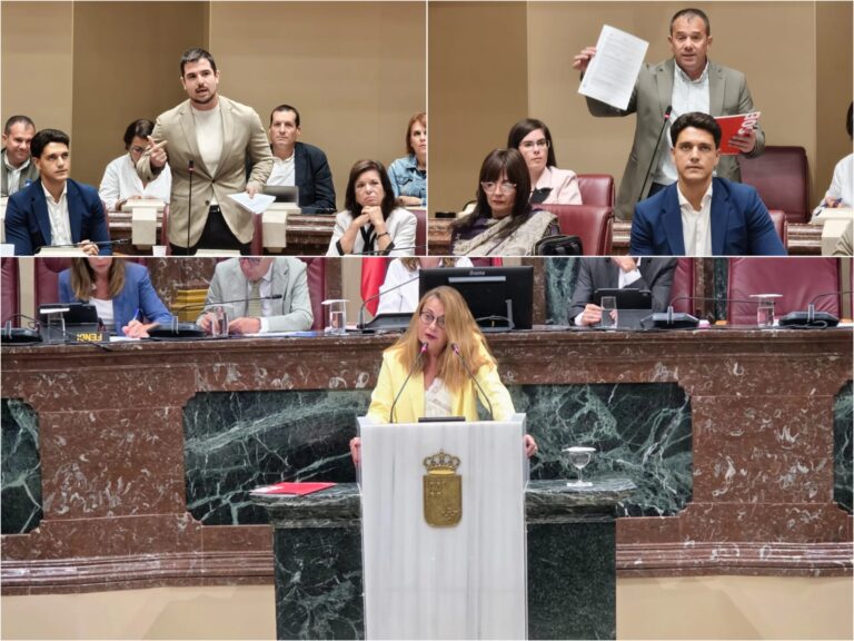 El PSOE lleva al pleno el CEIS, el transporte y la FP especial