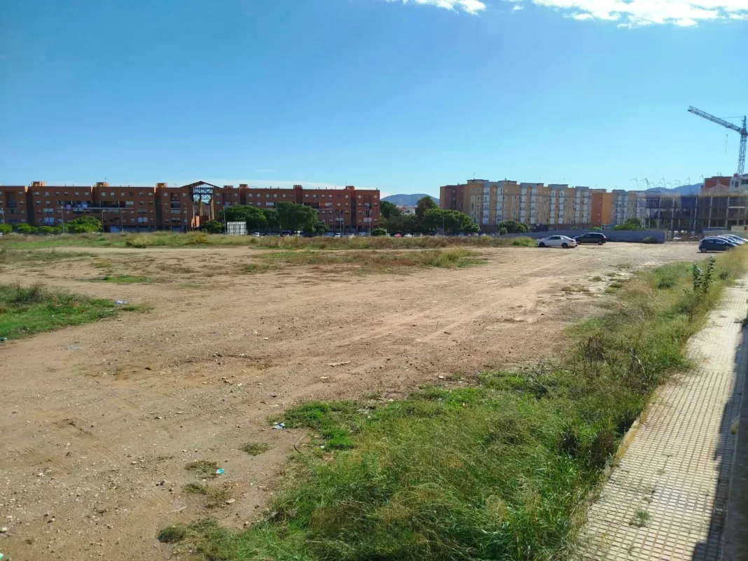 Denuncian ratas en viviendas y junto a un parque infantil de Nueva Cartagena
