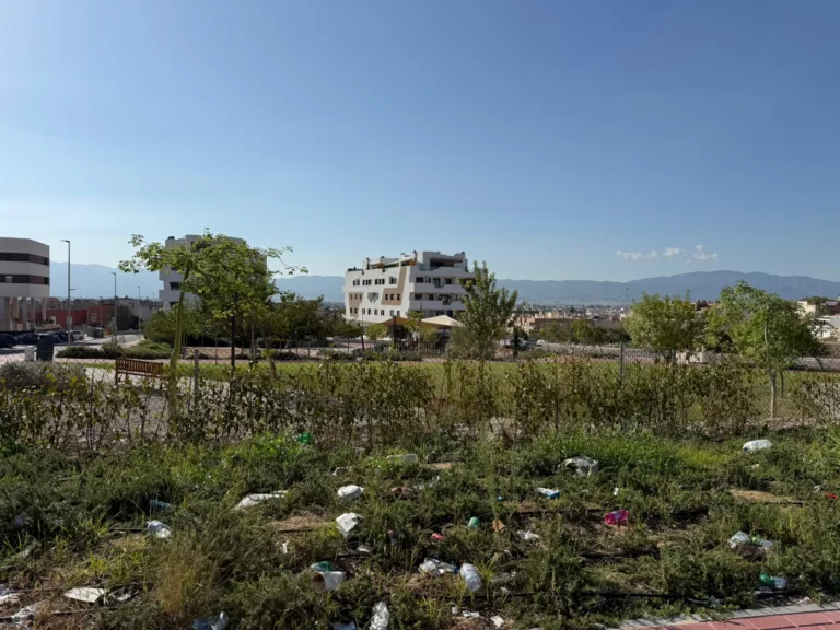 El PSOE denuncia parques deteriorados en Murcia con el contrato de jardines prorrogado desde 2023