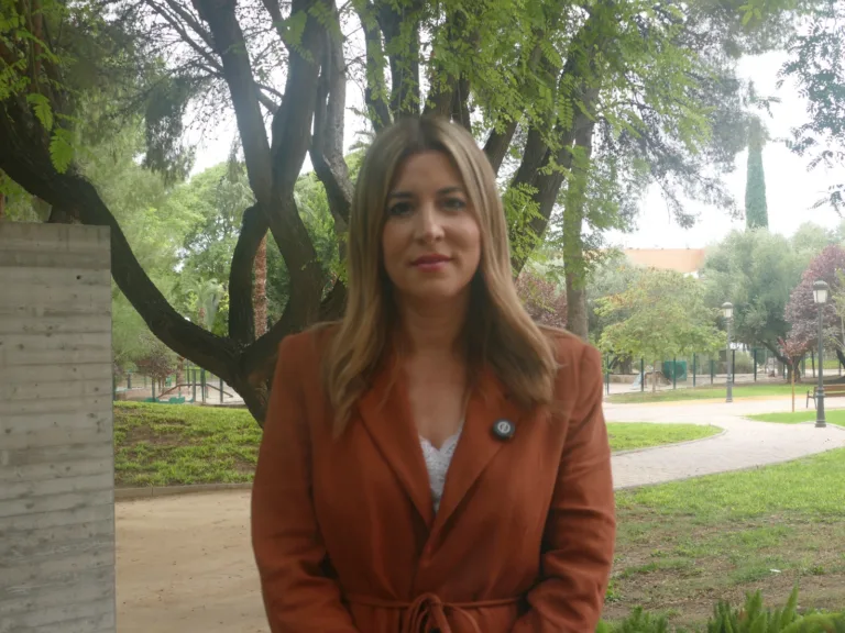 Gadea acusa al PP de usar «cortinas de humo» para ocultar su posición sobre vivienda