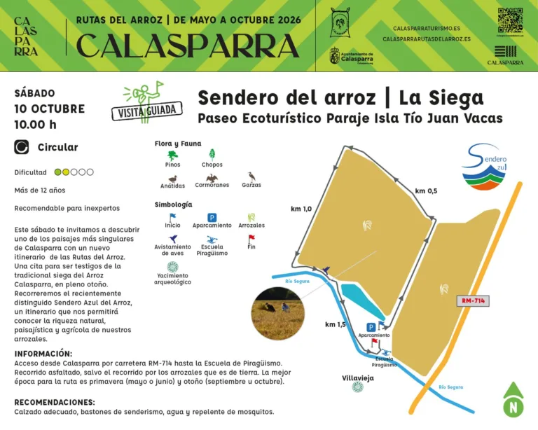 Calasparra invita a descubrir la siega del arroz con una ruta gratuita junto al Segura